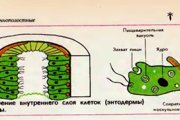 Кракен шоп зеркало